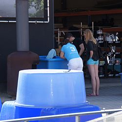 Teraske doen in Arendonk: afbeelding 1