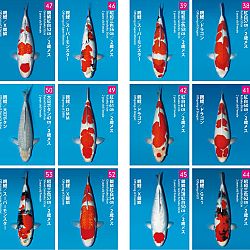 The Dainichi Kai 2021: afbeelding 3