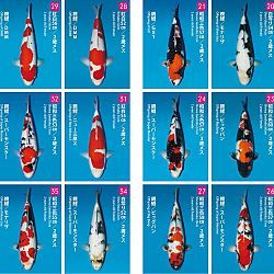 The Dainichi Kai 2021: afbeelding 1