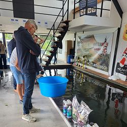 The day after: afbeelding 9