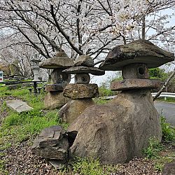 Thuis na acht dagen Japan: afbeelding 18