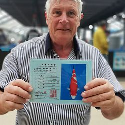 Toch nog een momentum afgedwongen: afbeelding 9
