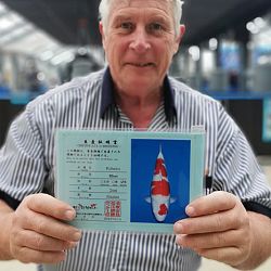 Toch nog een momentum afgedwongen: afbeelding 12