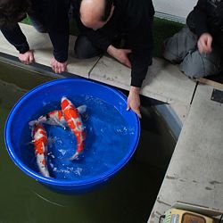 Toch weer mooi...: afbeelding 3