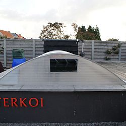 Update enkele koi Jelle: afbeelding 7