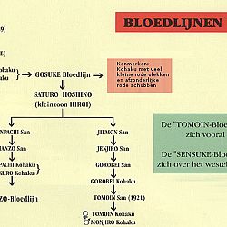 Update op aanvraag: afbeelding 1