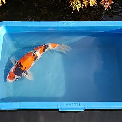 Update van Niels: afbeelding 10