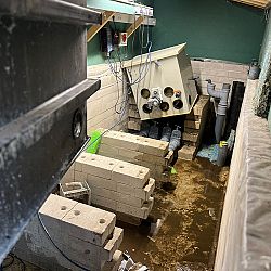 Upgrade vijver 5: afbeelding 6
