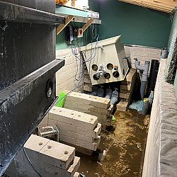 Upgrade vijver 5: afbeelding 7