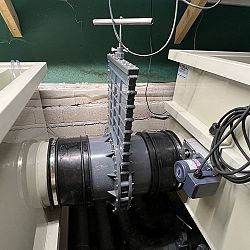 Upgrade vijver 5: afbeelding 9