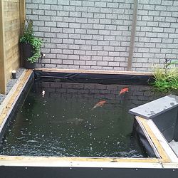 Vaders in de modder: afbeelding 7