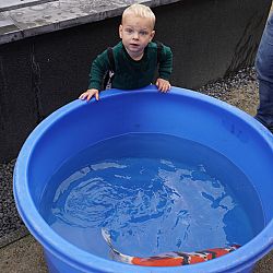 Välkommen, kunder från Sverige: afbeelding 4