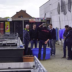 Vanaf zondag offline: afbeelding 1
