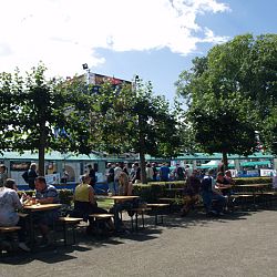 Vandaag geopend van 10.00 tot 12.00 uur: afbeelding 7