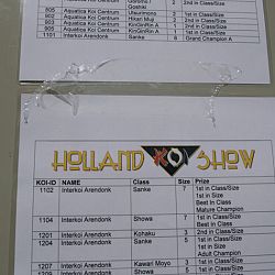 Vandaag geopend van 10.00 tot 12.00 uur: afbeelding 8