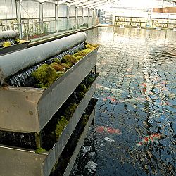 Verbluffende verblijfplaats: afbeelding 2
