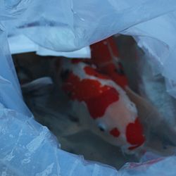 Voila, de klus is weer geklaard: afbeelding 1