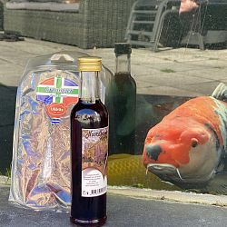 Voorbereidingen treffen en Koi Koi Koi : afbeelding 2