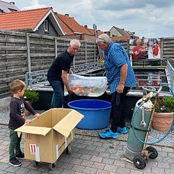 Vruchtbare zaterdagen: afbeelding 2