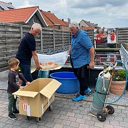 Vruchtbare zaterdagen: afbeelding 3