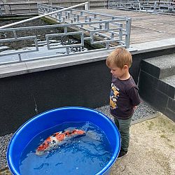 Vruchtbare zaterdagen: afbeelding 8