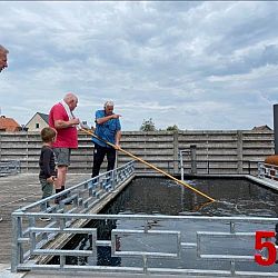 Vruchtbare zaterdagen: afbeelding 15
