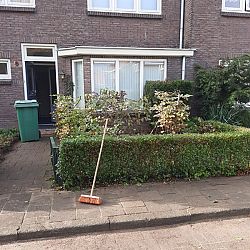 VSO Het Dok - Plant dier en buitenwerk: afbeelding 2