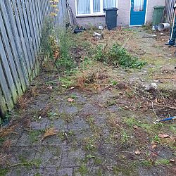 VSO Het Dok - Plant dier en buitenwerk: afbeelding 3