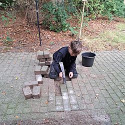 VSO Het Dok - Plant dier en buitenwerk: afbeelding 5