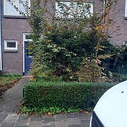 VSO Het Dok - Plant dier en buitenwerk: afbeelding 1