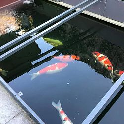 Wat dag is het vandaag ?: afbeelding 2
