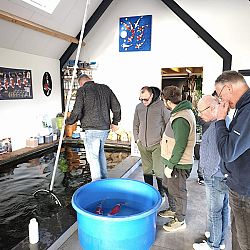 Wat een dag, de koibhobby leeft: afbeelding 4