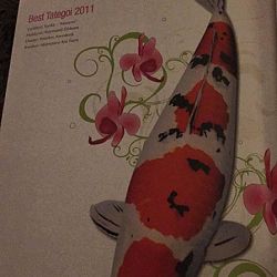 Wat is dat dit jaar met de tijdschriften: afbeelding 5