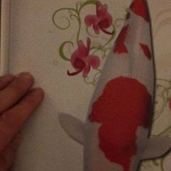 Wat is dat dit jaar met de tijdschriften: afbeelding 6