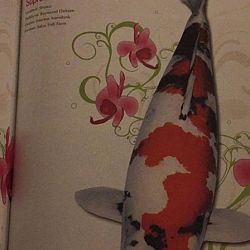 Wat is dat dit jaar met de tijdschriften: afbeelding 7