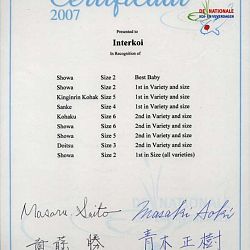Wat is dat dit jaar met de tijdschriften: afbeelding 11