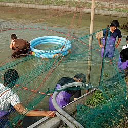 Wat is eigenlijk een mudpond ?: afbeelding 3