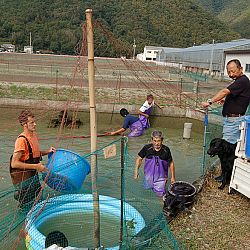 Wat is eigenlijk een mudpond ?: afbeelding 4
