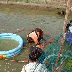 Wat is eigenlijk een mudpond ?: afbeelding 5