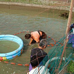 Wat is eigenlijk een mudpond ?: afbeelding 6