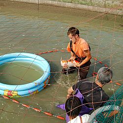 Wat is eigenlijk een mudpond ?: afbeelding 7