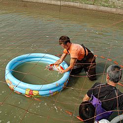Wat is eigenlijk een mudpond ?: afbeelding 8