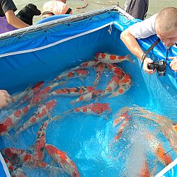 Wat is eigenlijk een mudpond ?: afbeelding 15