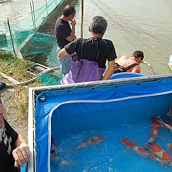 Wat is eigenlijk een mudpond ?: afbeelding 16