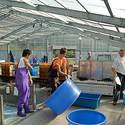 Wat is eigenlijk een mudpond ?: afbeelding 21