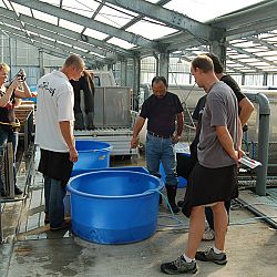 Wat is eigenlijk een mudpond ?: afbeelding 29