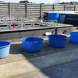 Wat mag je zaterdag verwachten: afbeelding 2