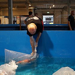 Watergala 2016, deel 1: afbeelding 2