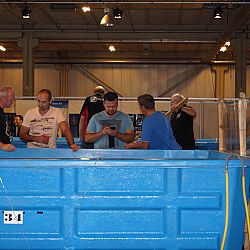 Watergala 2016, deel 1: afbeelding 8
