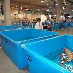 Watergala 2016, deel 2: afbeelding 6